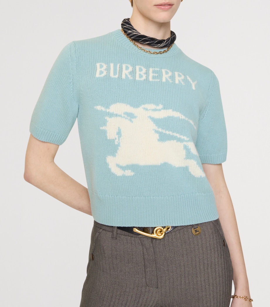 Wool-Cashmere Short-Sleeve EKD Sweater EGGSHELL BLUE Image 2