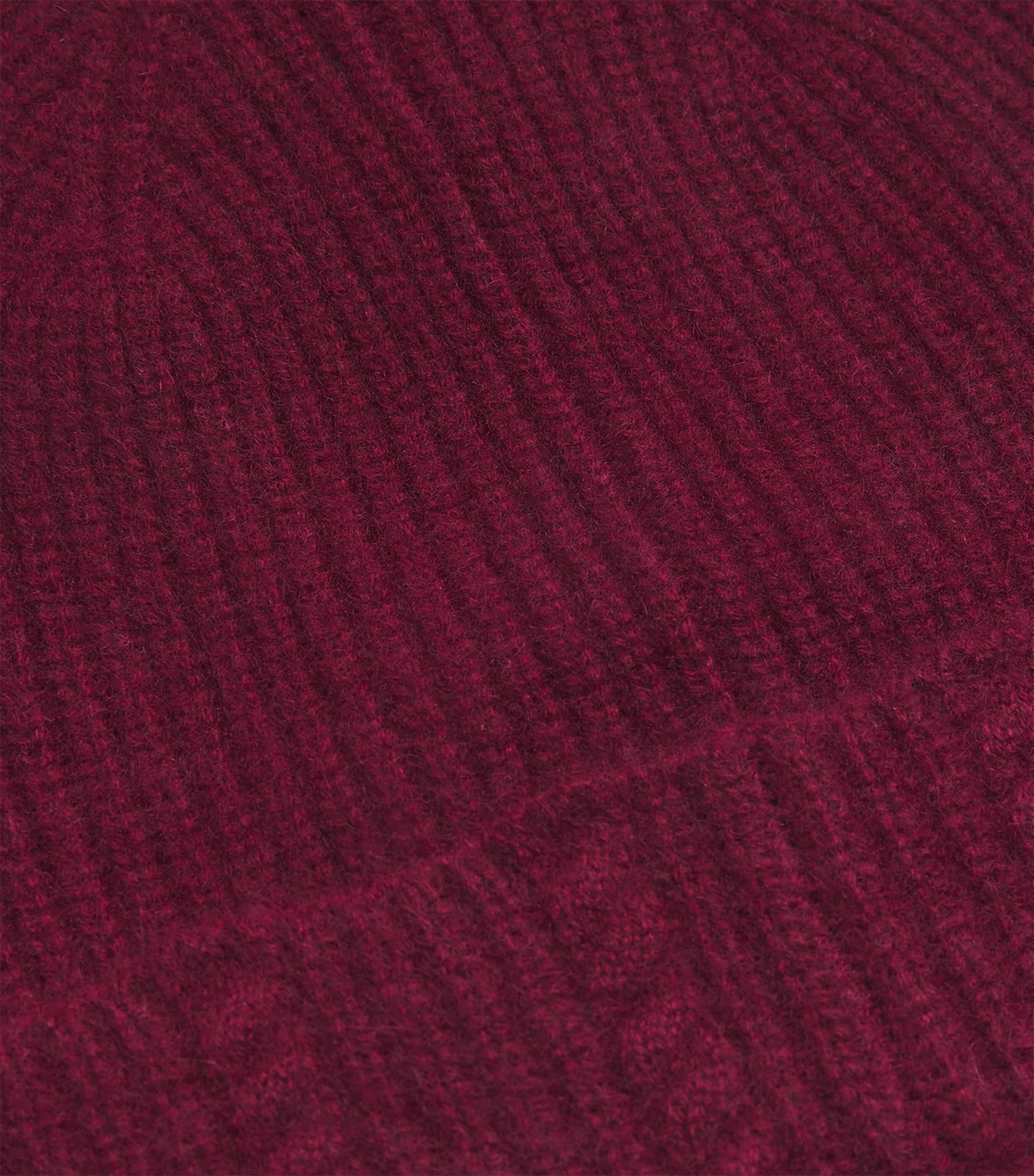 Cashmere Embroidered Beanie BURGUNDY Image 3