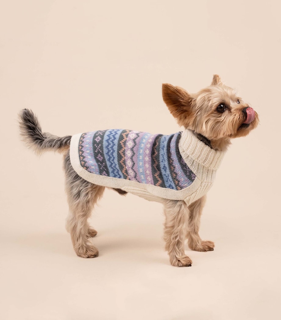 ALQO WASI Alpaca-Blend Cloudform Dog Sweater (Medium) Cloudform Image 6