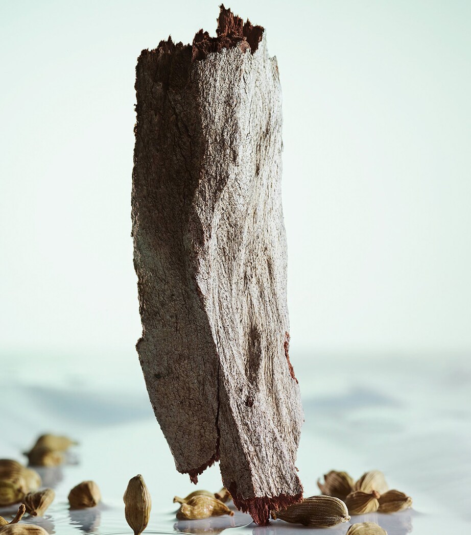 Pour Homme Eau de Toilette (100ml) NO COLOUR Image 5