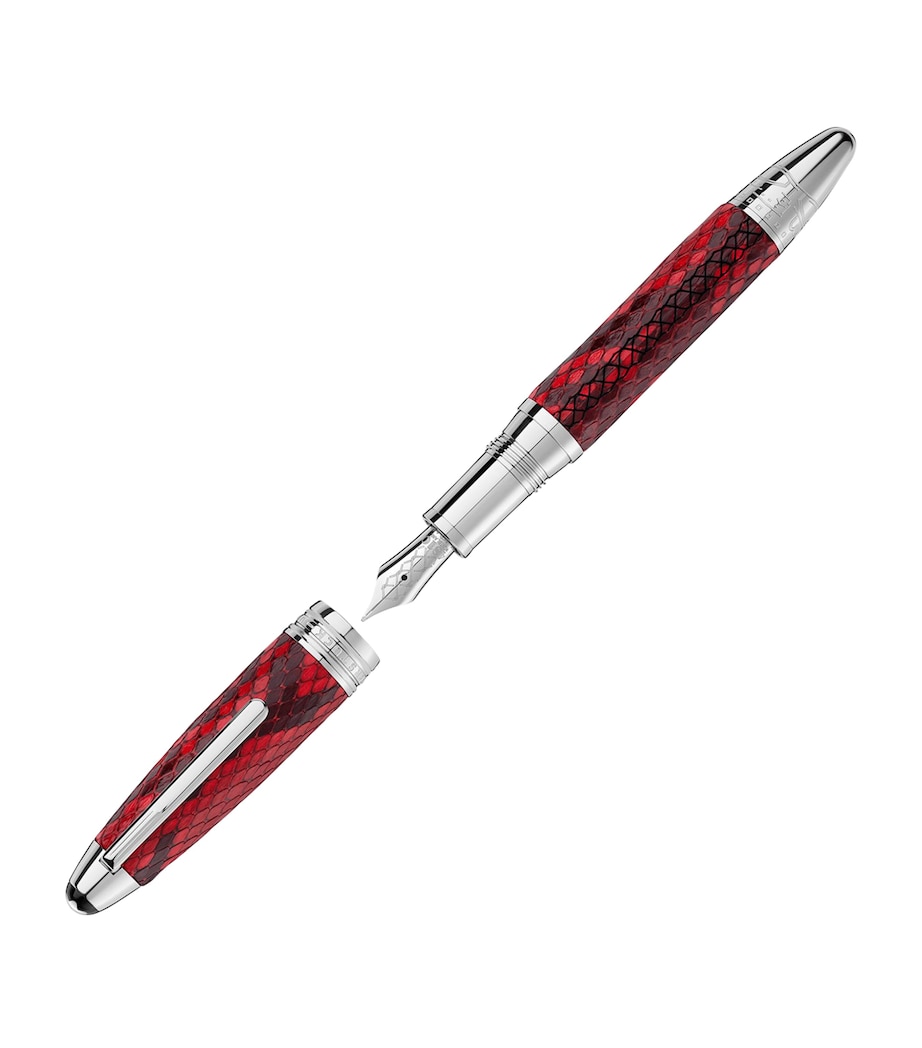 Platinum-Plated Leather Meisterstück Fountain Pen SILVER Image 2