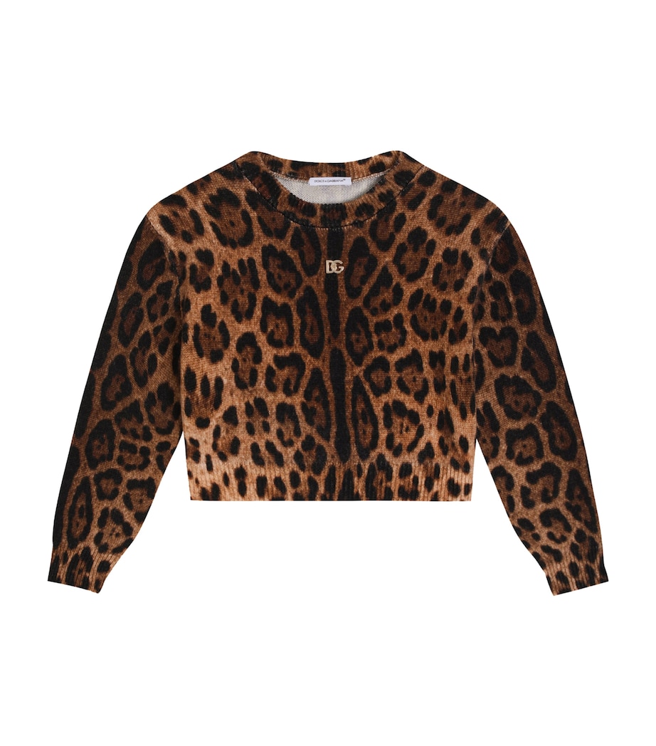 Virgin Wool Leopard Print Sweater (8-12 Years) HY13M-LEO NEW Image 1