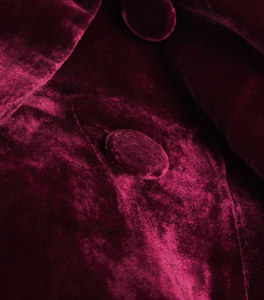 Velvet Marie Double-Breasted Blazer DARK PORT DKPO Image 5