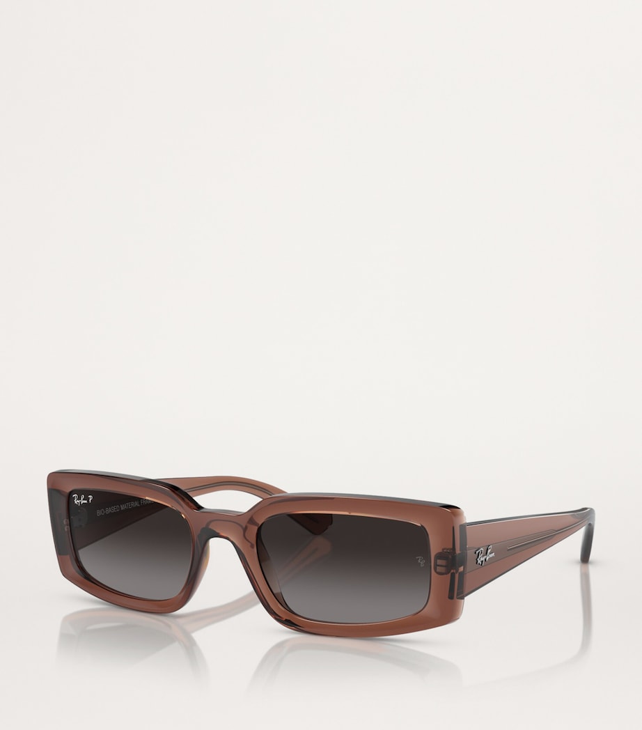 Ray-Ban Acetate 0RB4395 Sunglasses Image 2