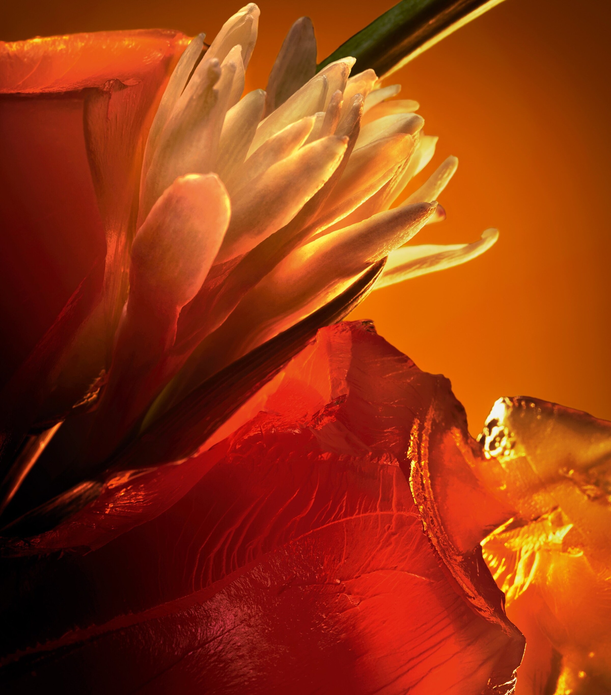 Christian Louboutin Fétiche L’Ambre Eau de Parfum (80ml) Image 3