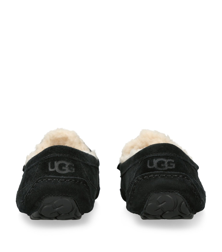 Suede Ascot Slippers BLACK Image 2