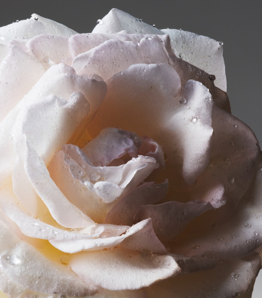 The Alchemist’s Garden Tears from the Moon Eau de Parfum (50ml) NO COLOUR Image 4