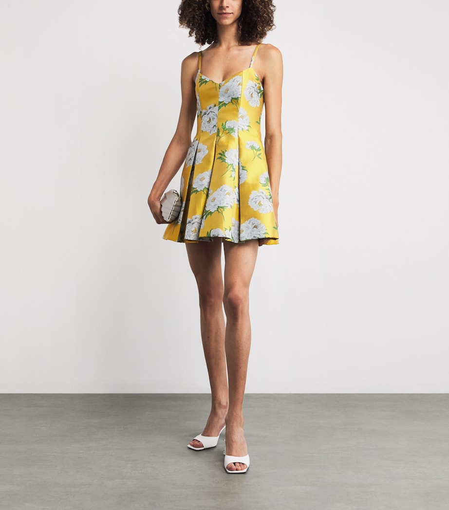 Pleated Isabelle Mini Dress FLRL CF GLDN HR C766 Image 2