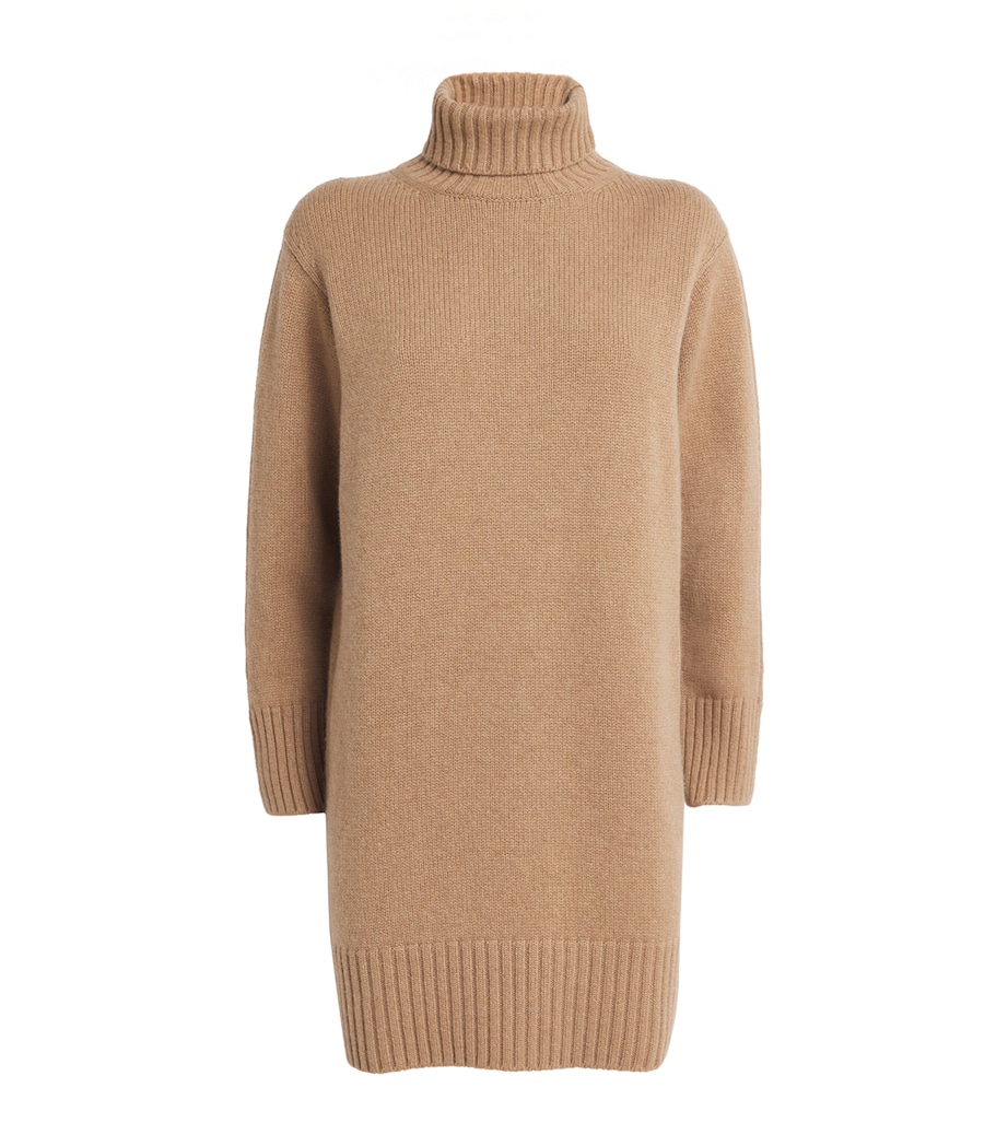 Cashmere Rollneck Mini Dress LLAMA Image 1