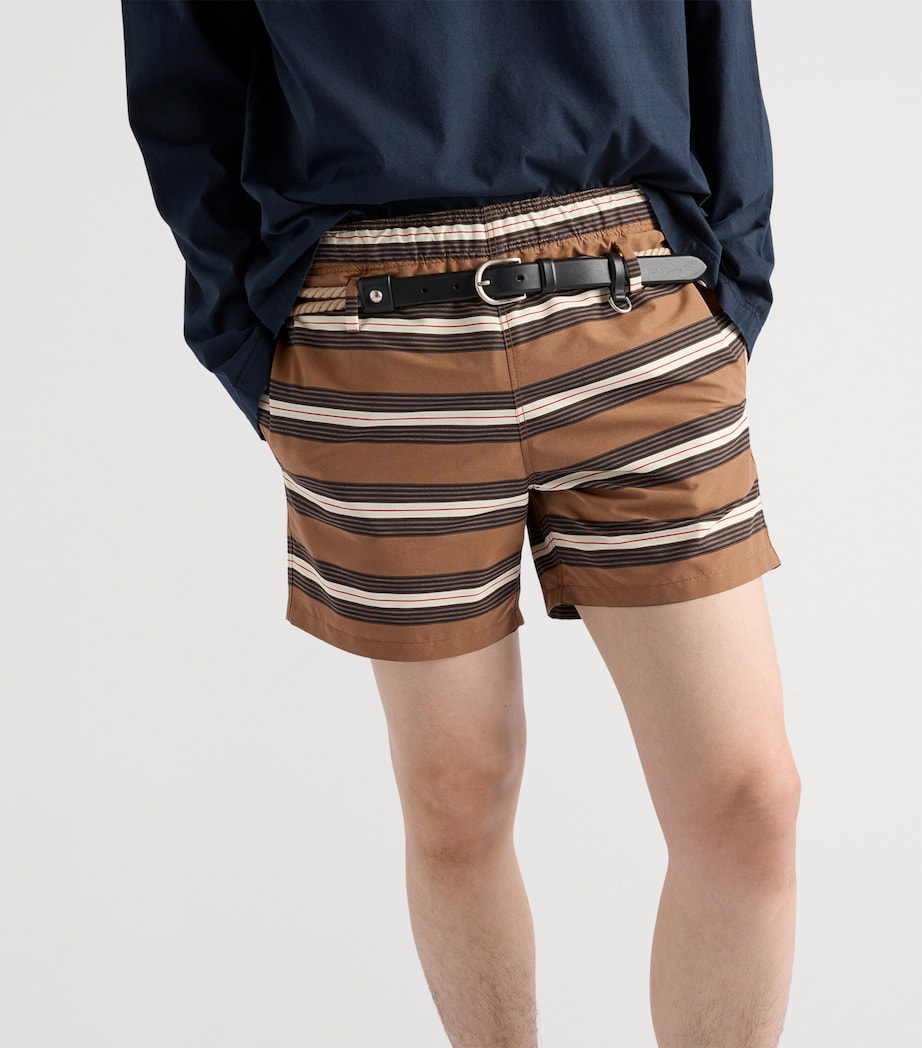 Stripe Swim Shorts F0005 Image 3