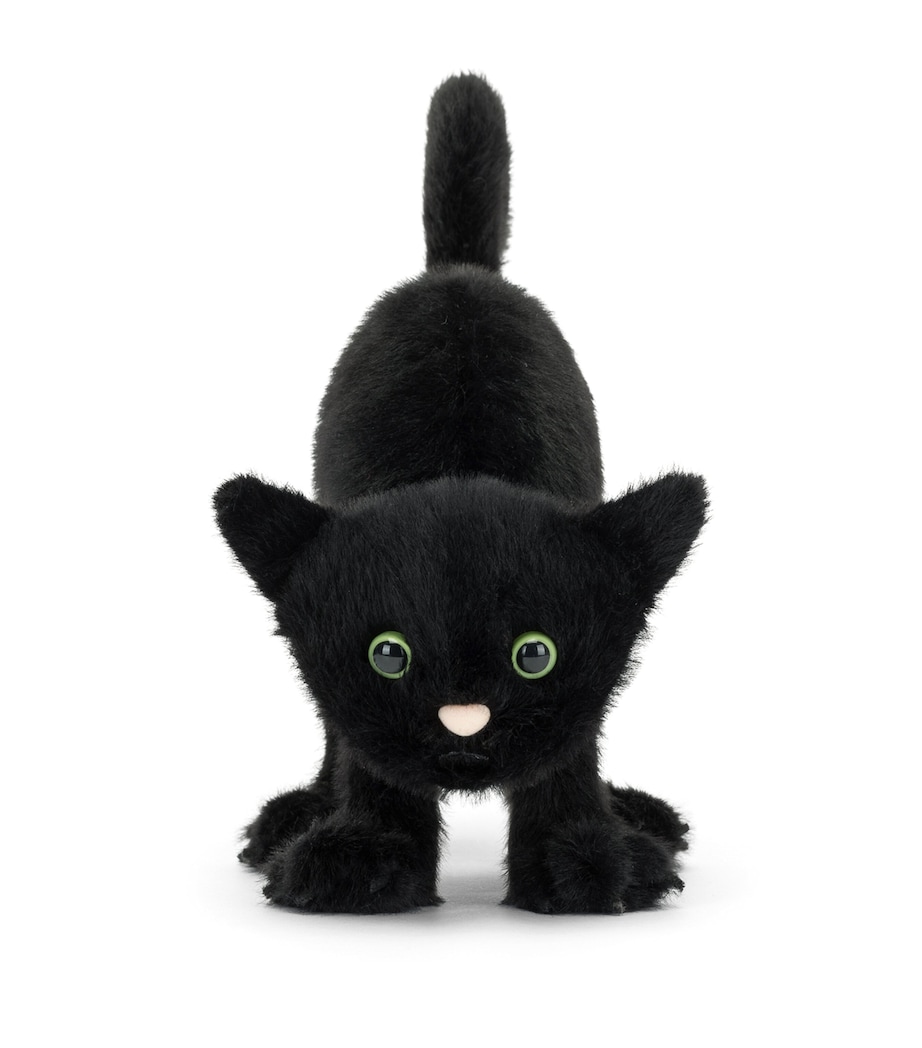 Spookipaws Cat (20cm) MULTI Image 2