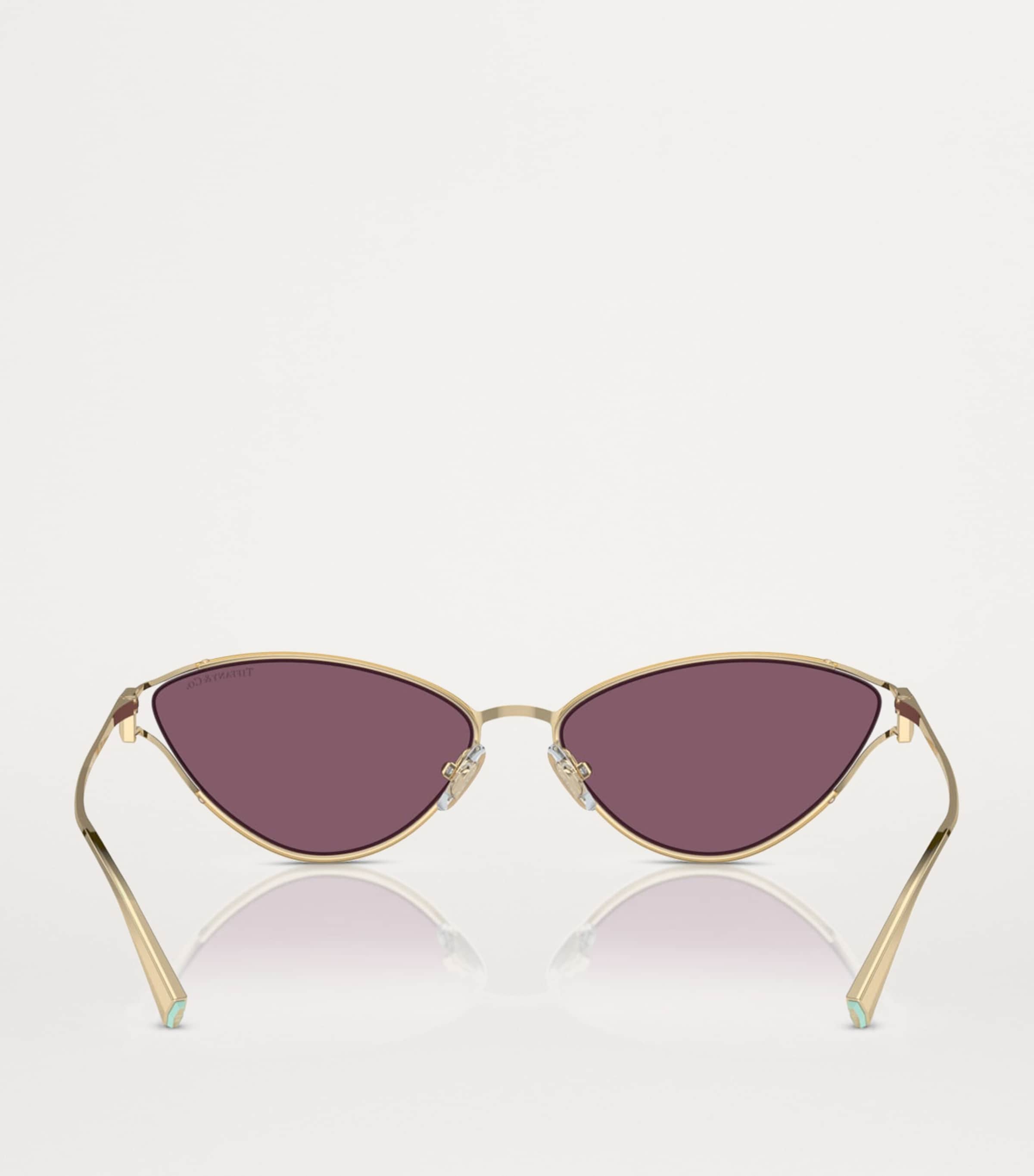 Metal Cat Eye Sunglasses 6194AK Image 4