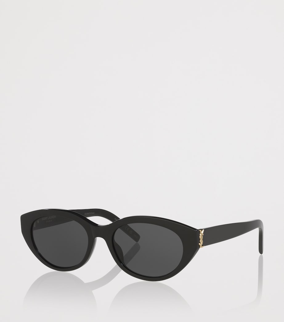 Acetate Round Sunglasses 1100A1 Image 2