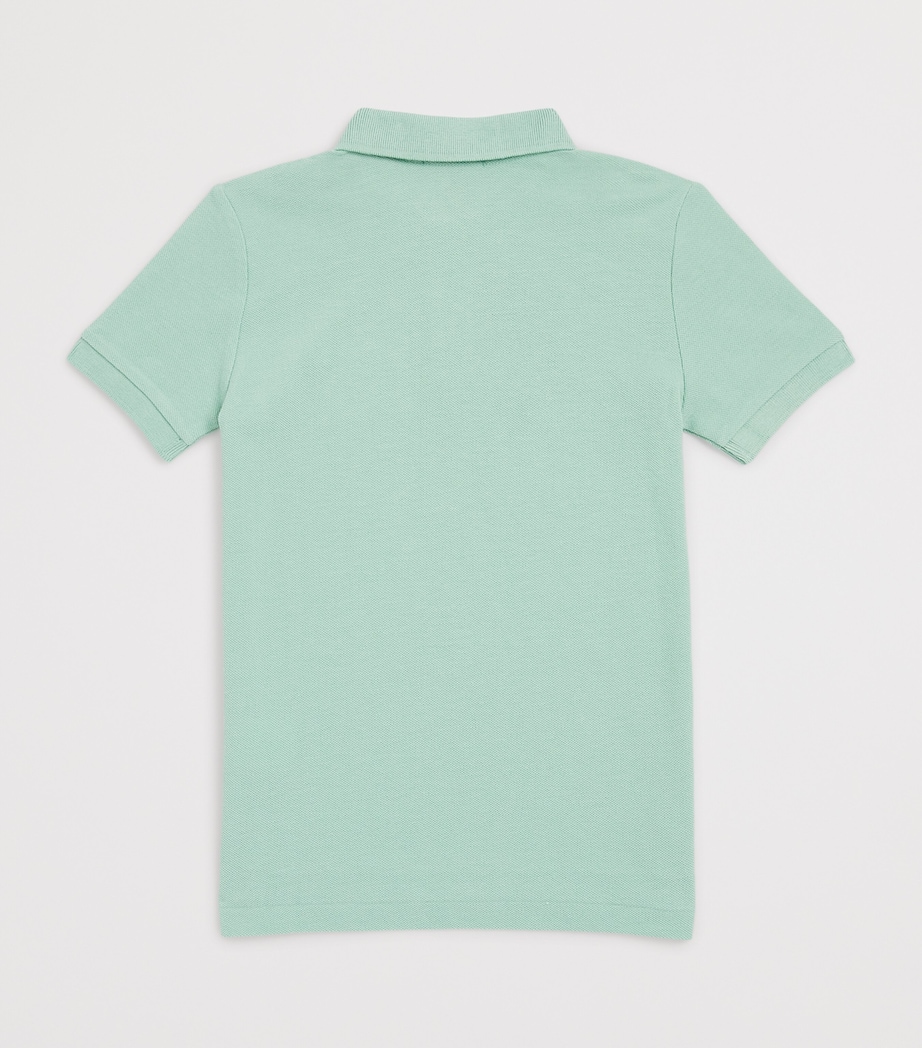 Cotton Polo Shirt (6-14 Years) CELADON Image 2