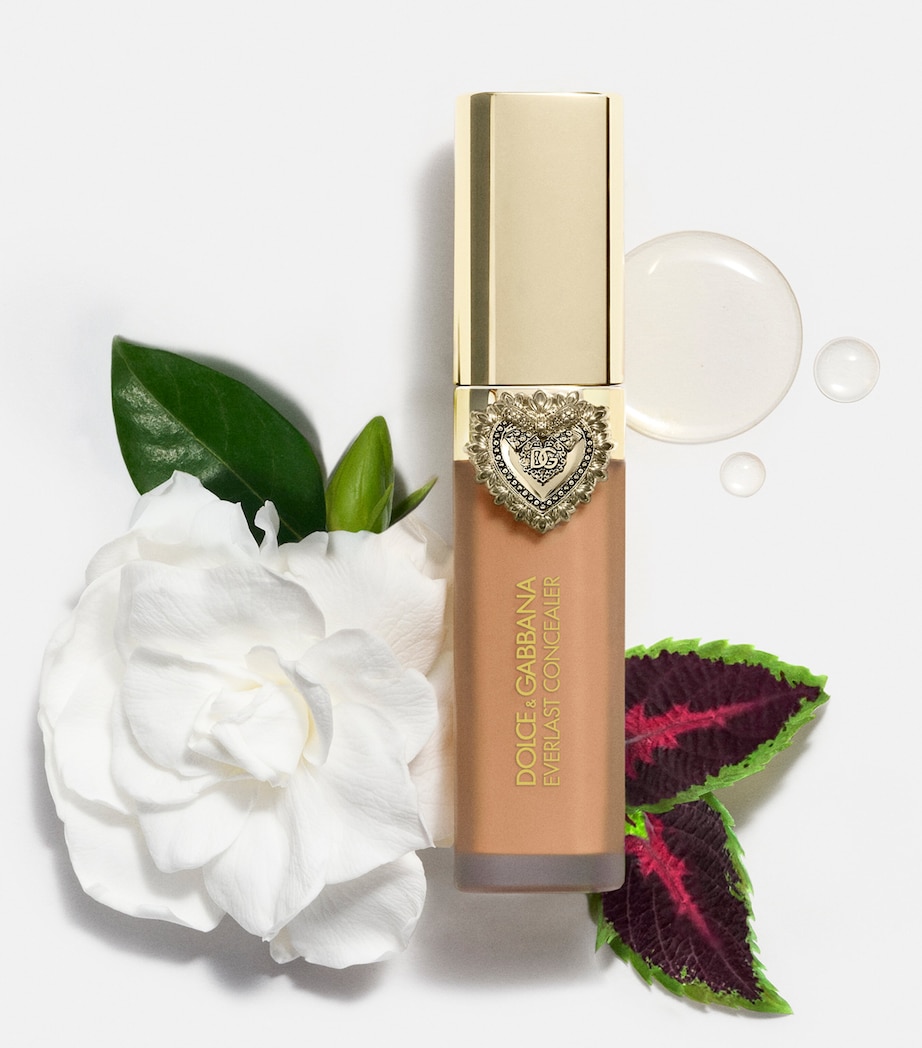 Everlast Concealer 38DEEP Image 7