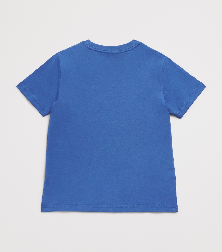 Ralph Lauren Kids Cotton Graphic T-Shirt (2-7 Years) Blue Image 2