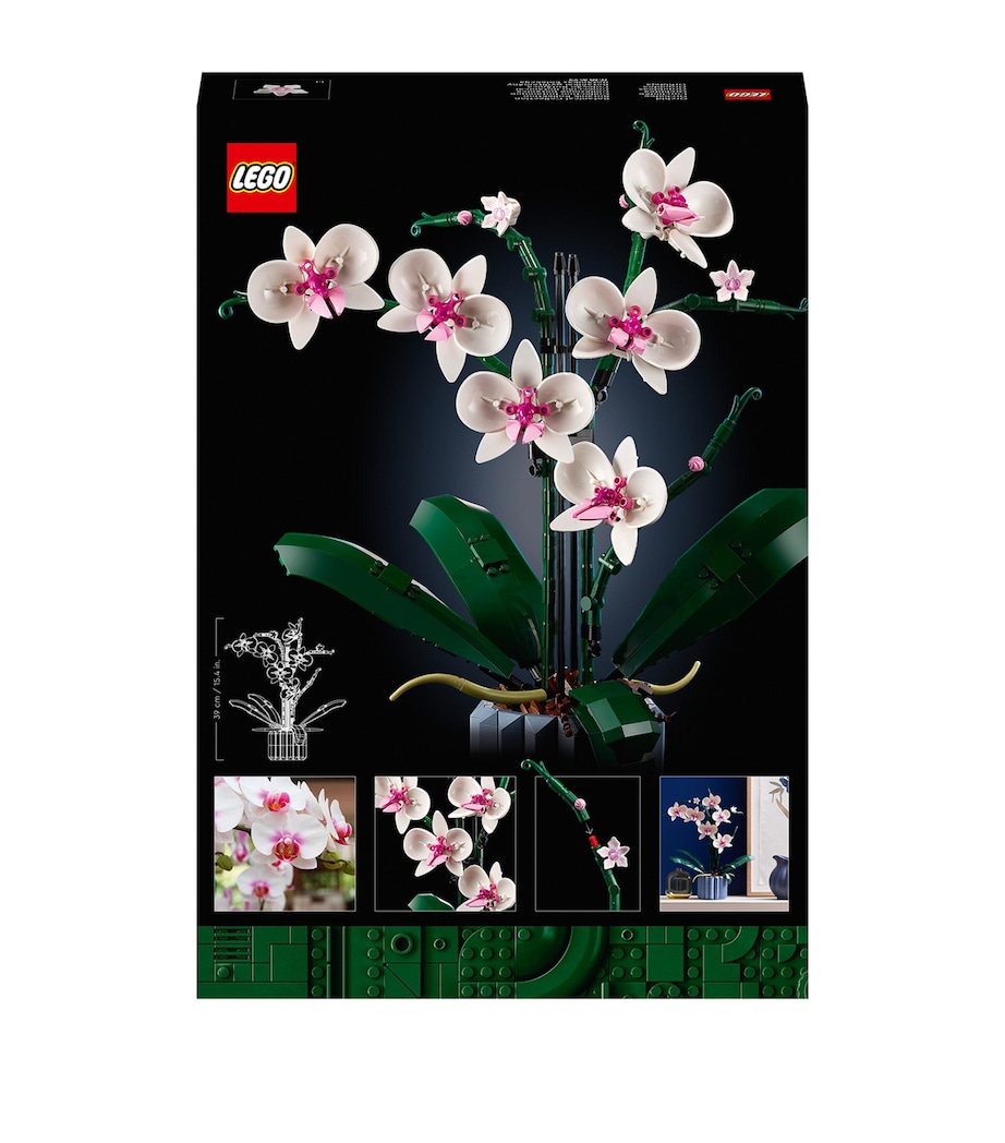 Orchid Display 10311 MULTI Image 3