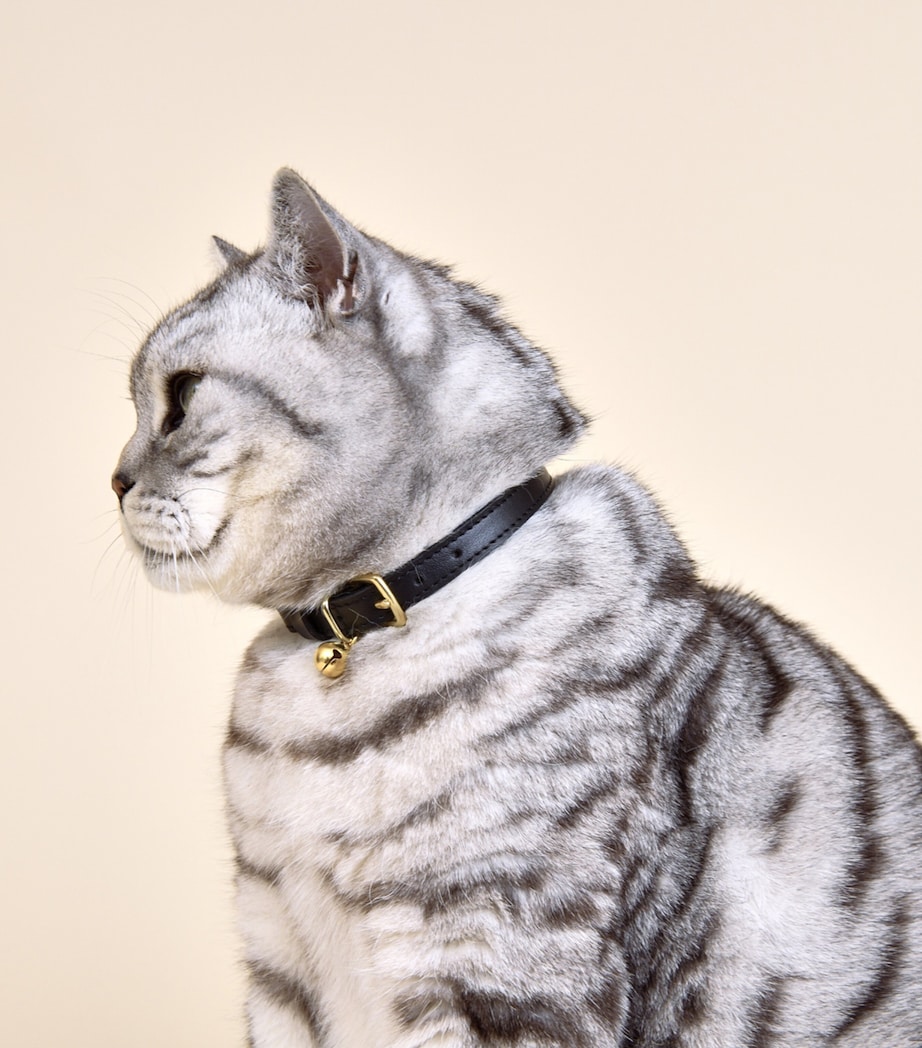 Small Leather Wonderland Cat Collar BLACK Image 5