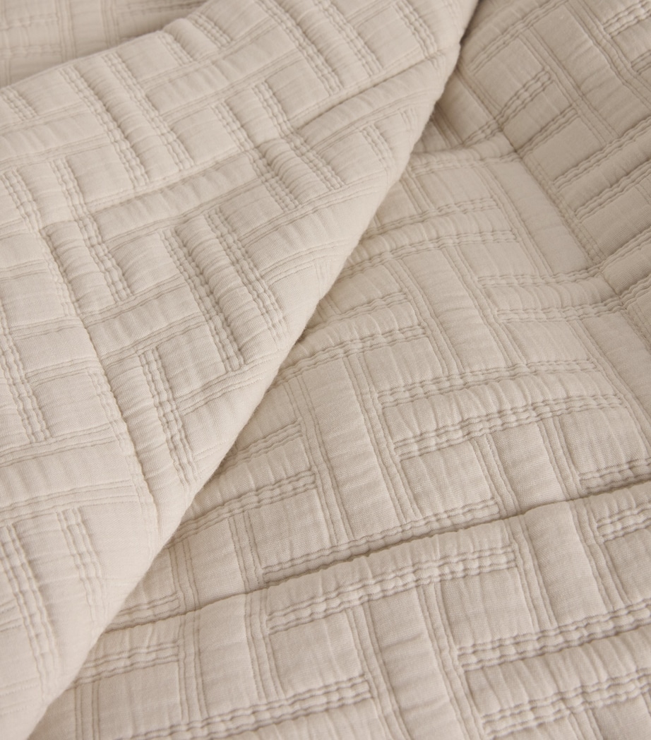 Embroidered Kengo Throw (310cm x 150cm) NEUTRAL Image 3