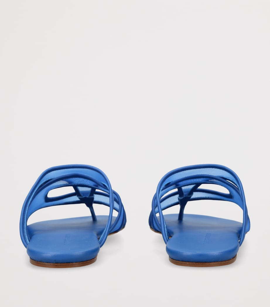 Mesh Ringer Flip Flops BLUE Image 2