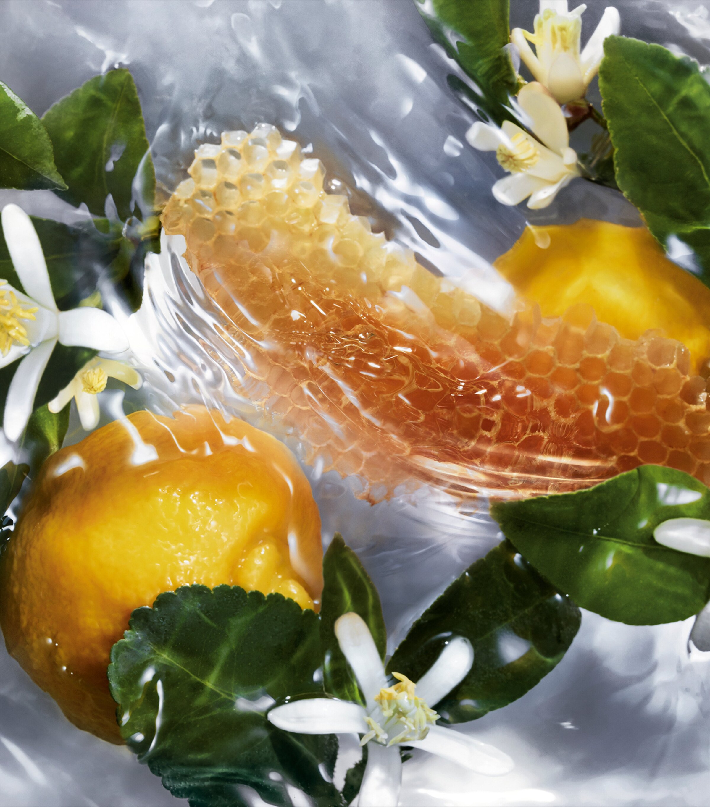 Aqua Allegoria Nettare Di Sole Eau de Toilette (75ml) NO COLOUR Image 5