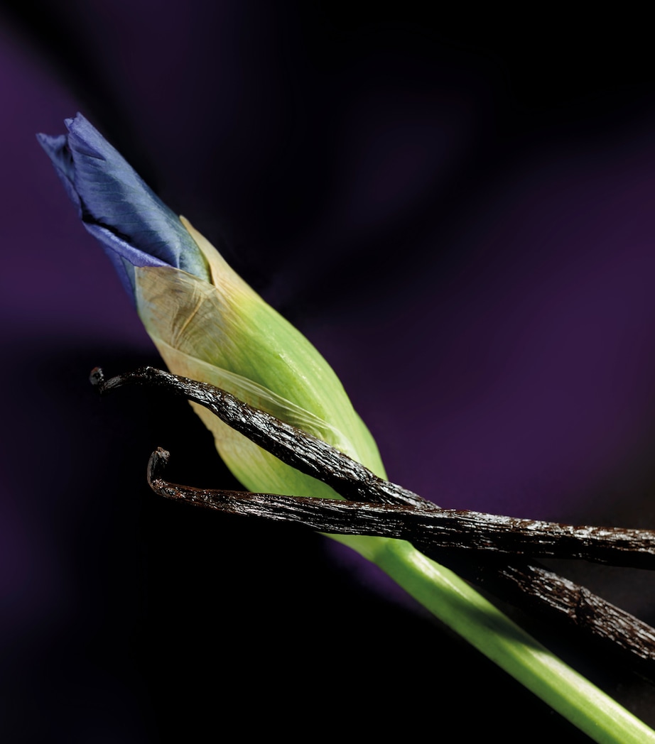 Iris Malikhân Eau de Parfum (100ml) NO COLOUR Image 6