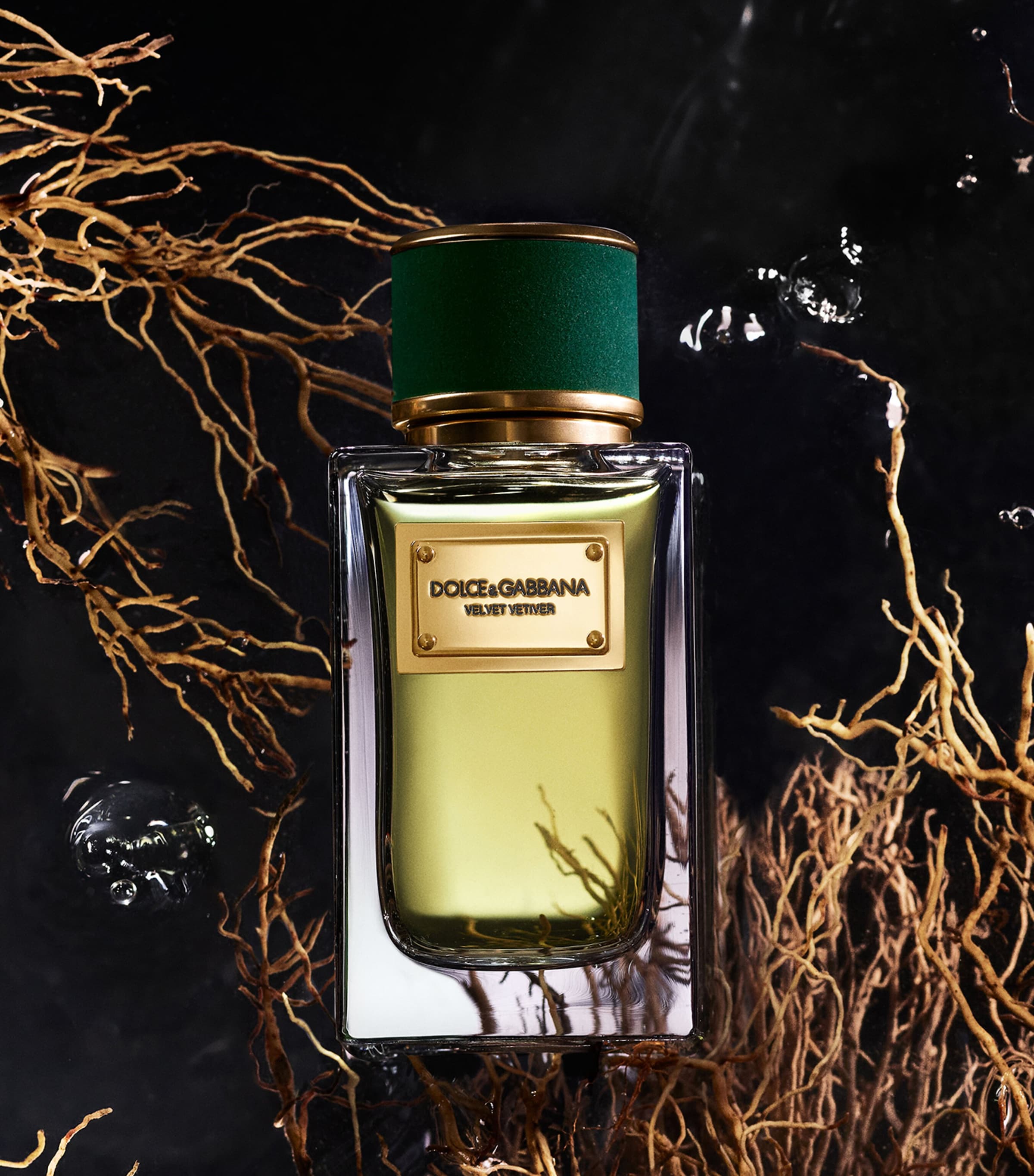 Dolce & Gabbana Velvet Vetiver Eau de Parfum (100ml) | Harrods US