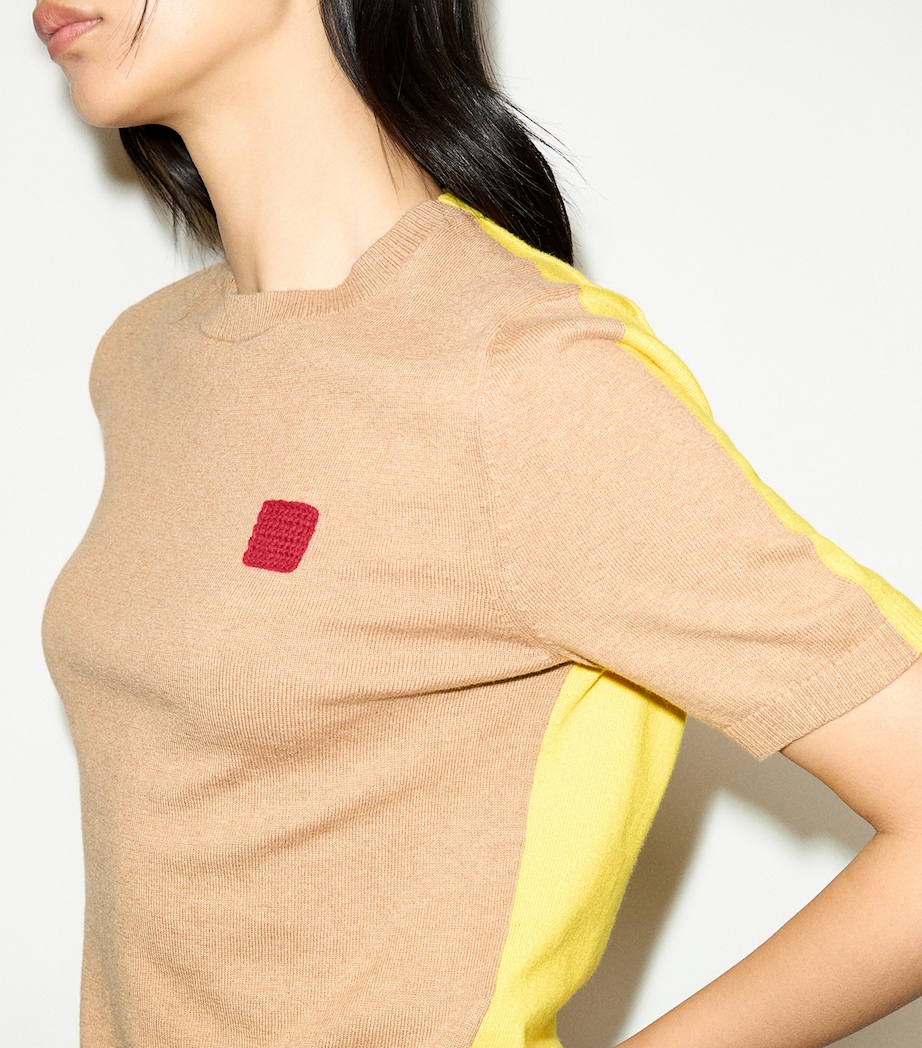 MAX&Co. Womens Cotton-Cashmere Reversible Short-Sleeve Sweater Camel Image 5