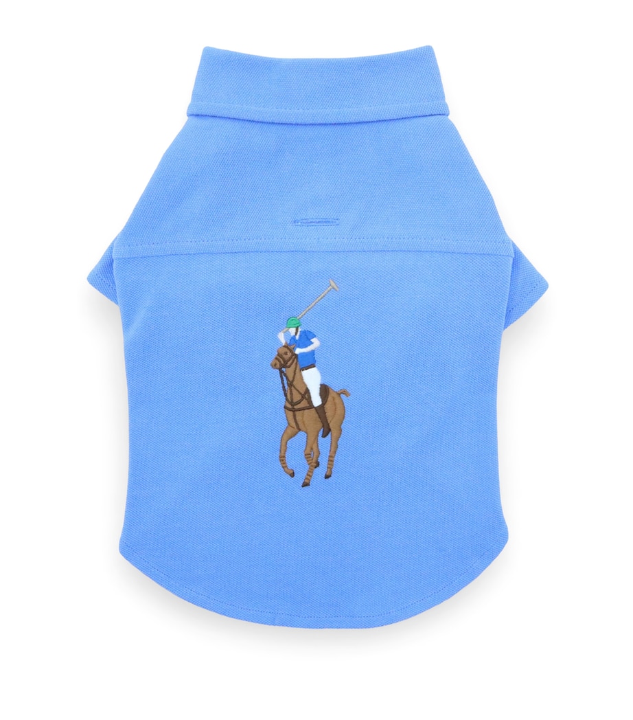 Mesh Cotton Polo Pony Dog Shirt (Extra Small) ISLAND BLUE Image 1