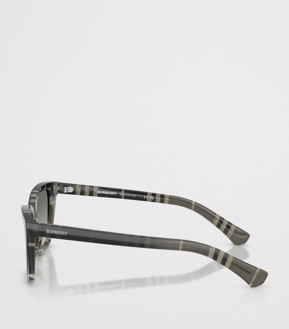 Acetate Cat Eye Sunglasses 420011 Image 3