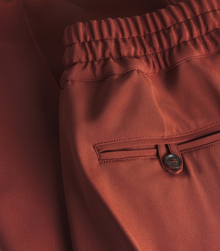 Stretch-Silk Pleated Trousers BURNED Image 5