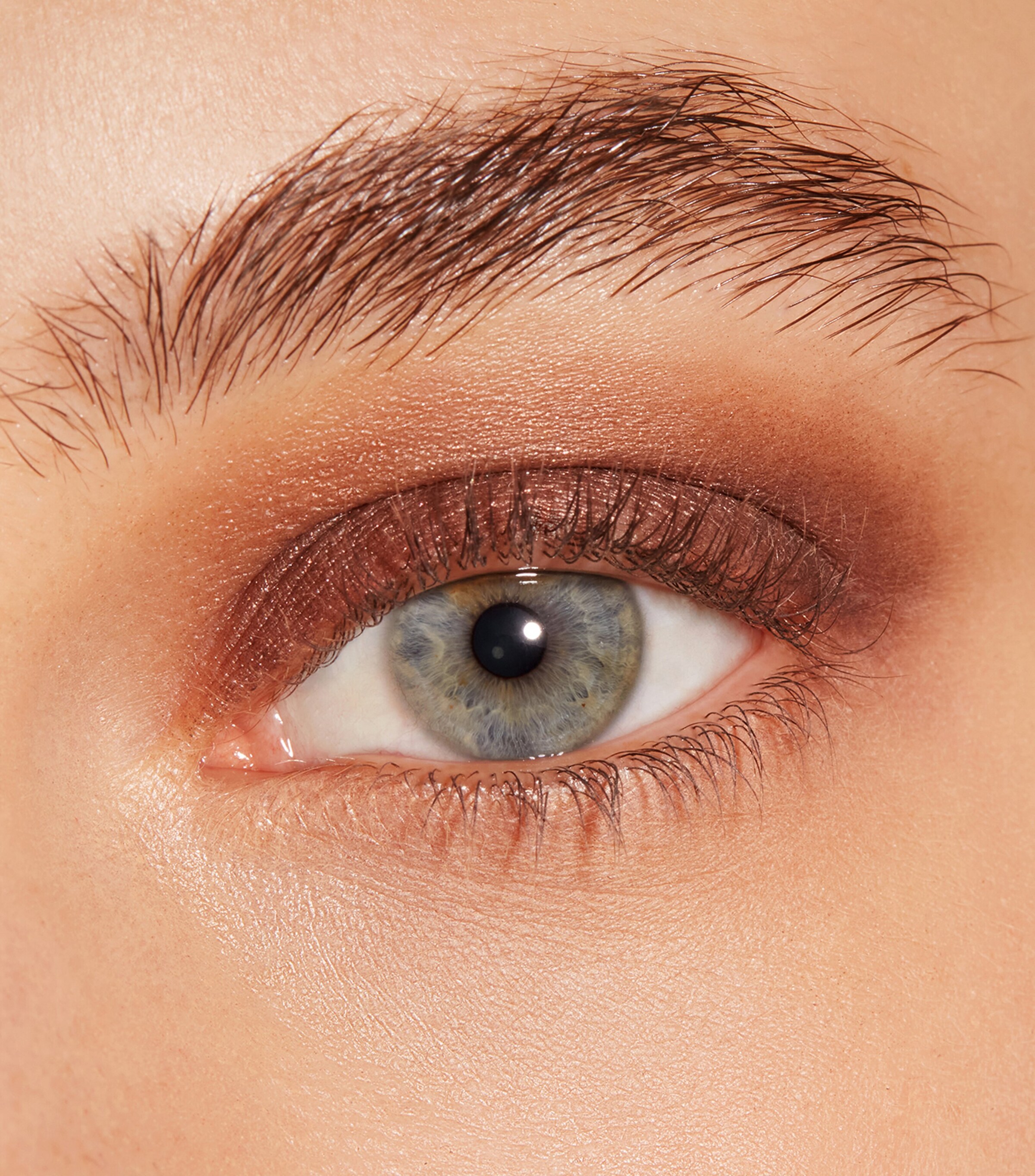 Carolina Herrera Chic Mono Eyeshadow Smoke Image 6