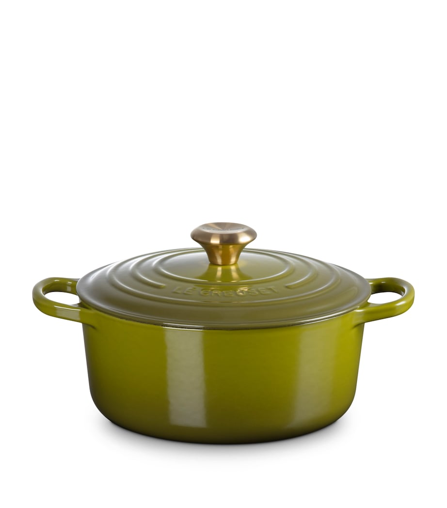 Enamelled Cast Iron Round Casserole Dish (24cm) OLIVE Image 2