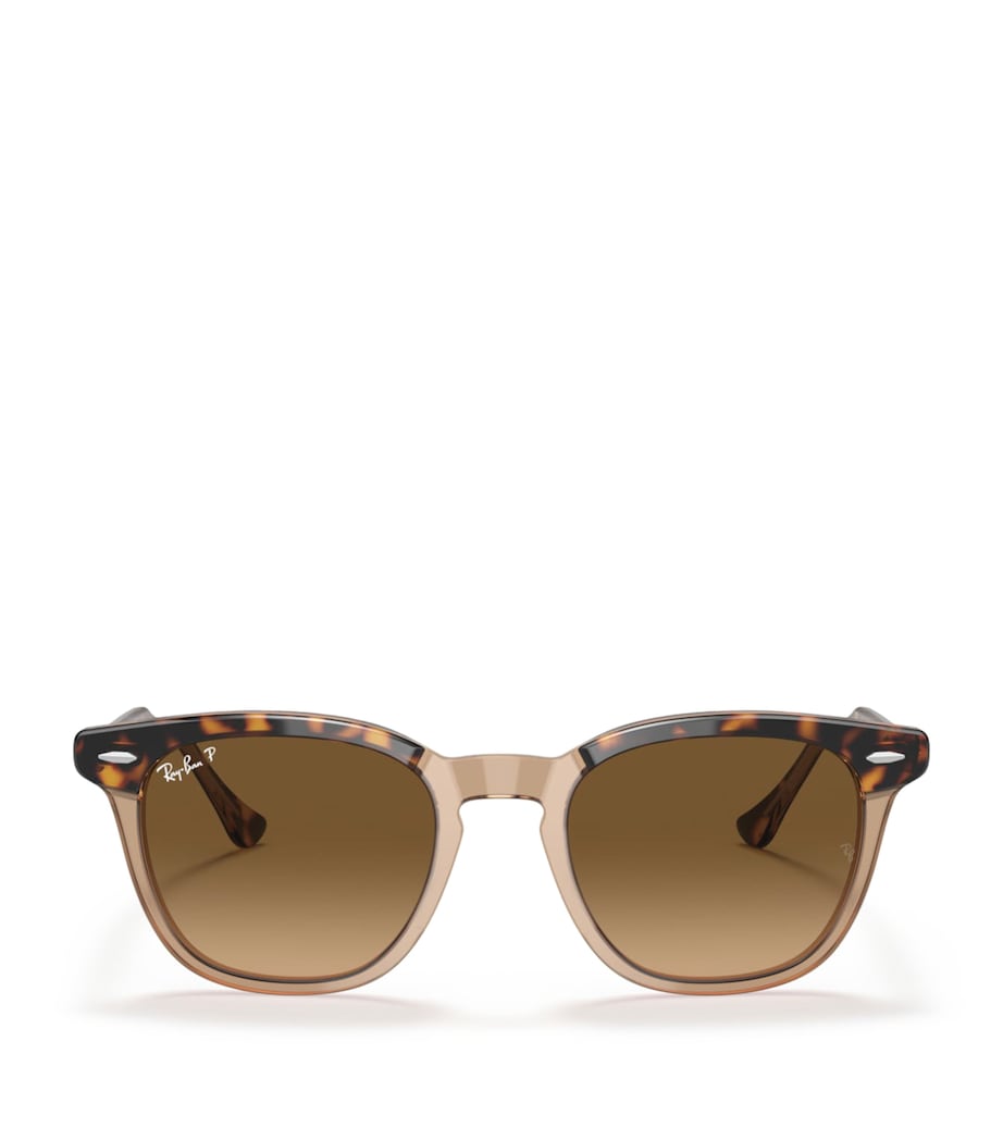 Ray-Ban Hawkeye Sunglasses Image 1
