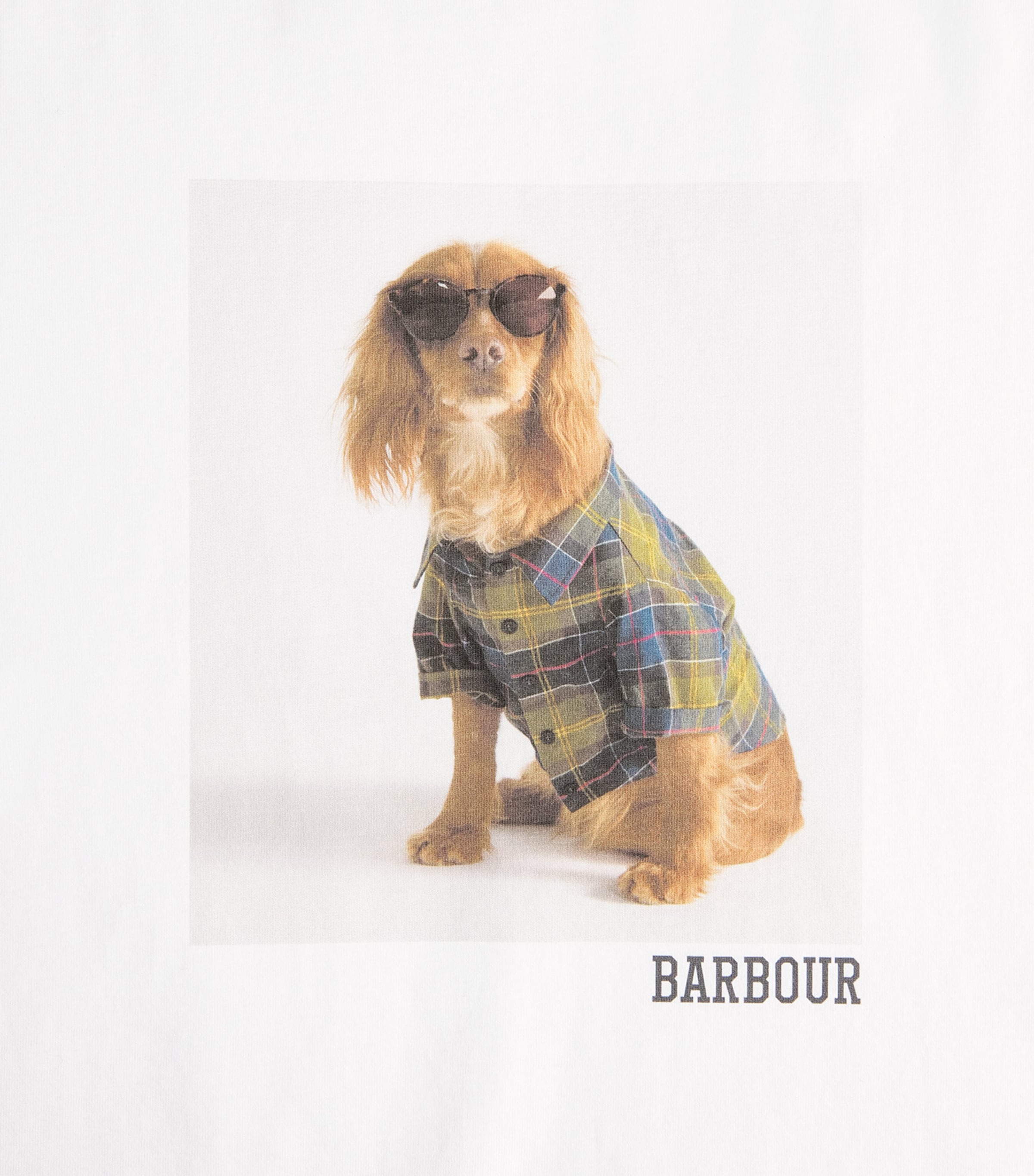 Cotton Marine T-Shirt WHITE Image 5