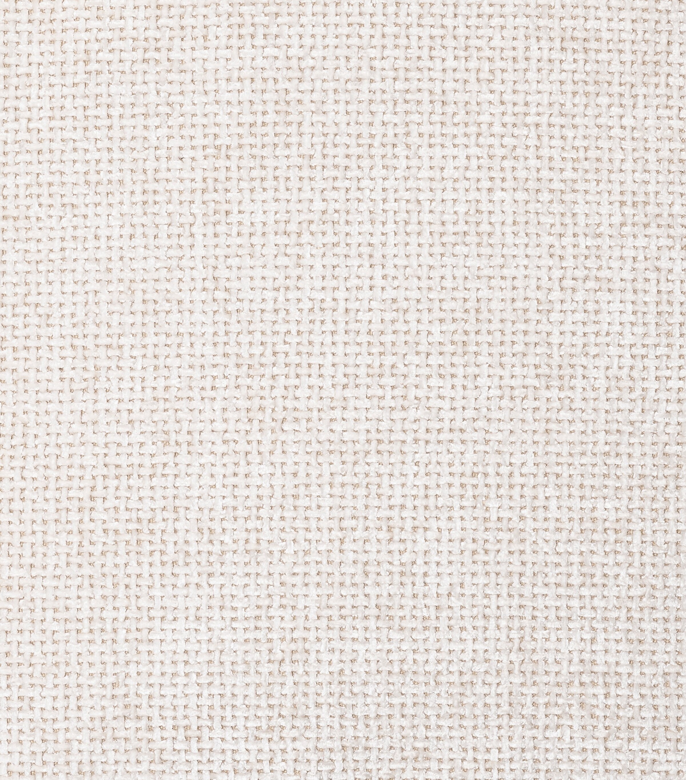 Cesare Armchair OFF-WHITE Image 4