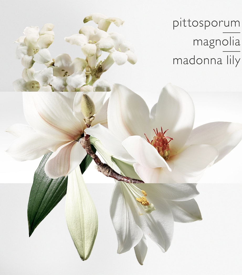 Un Jardin Sur La Lagune Eau de Toilette (100 ml) NO COLOUR Image 2