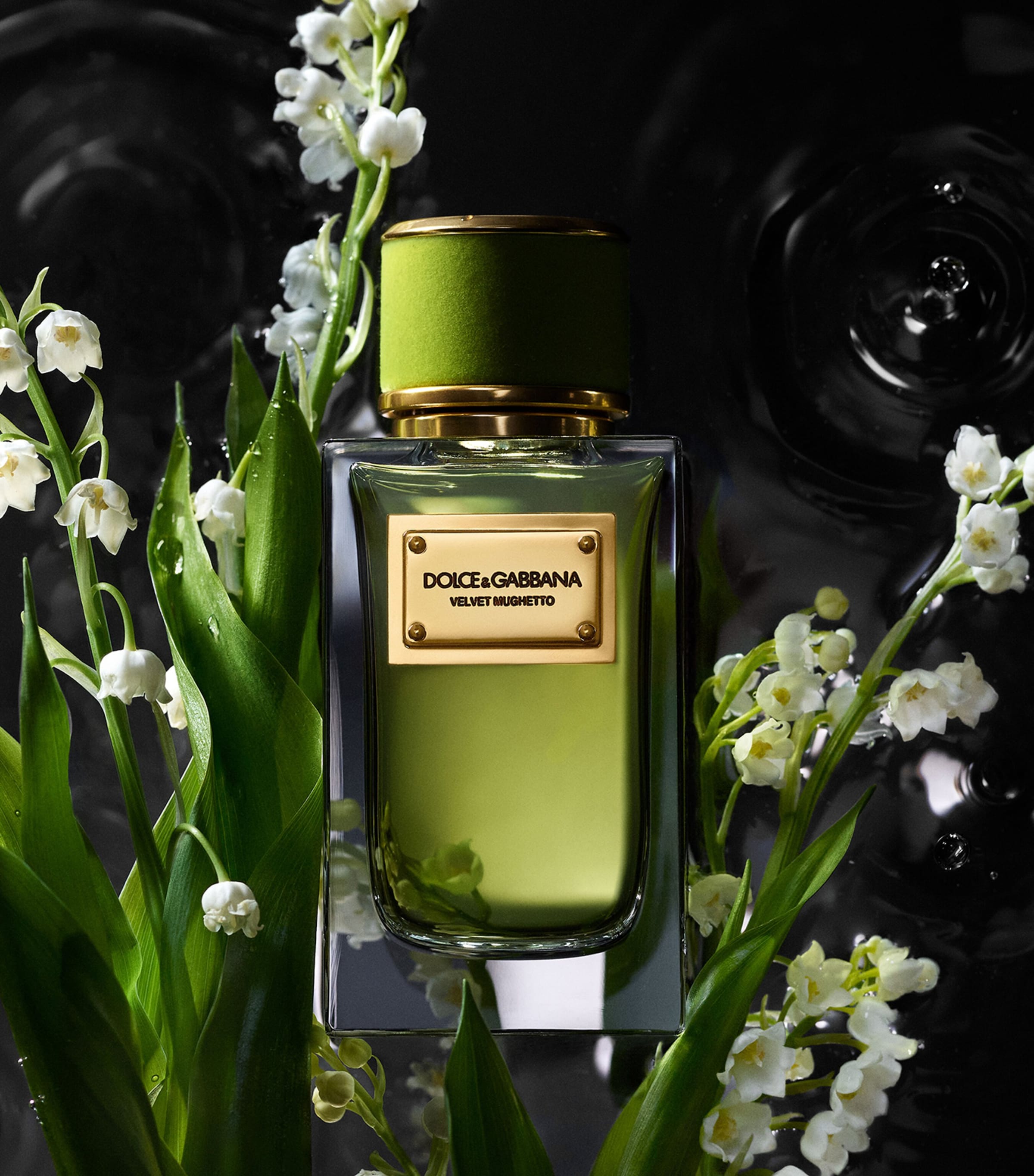 Velvet Mughetto Eau de Parfum (100ml) NO COLOUR Image 3