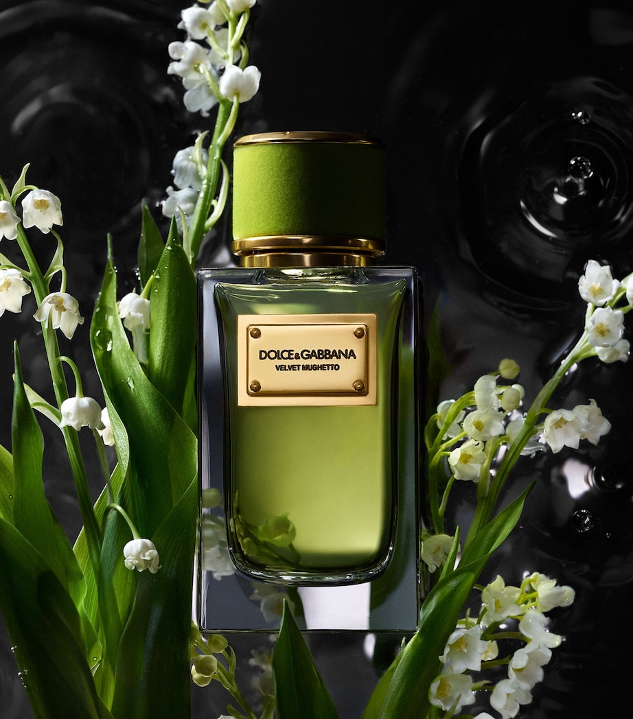 Velvet Mughetto Eau de Parfum (100ml) NO COLOUR Image 3