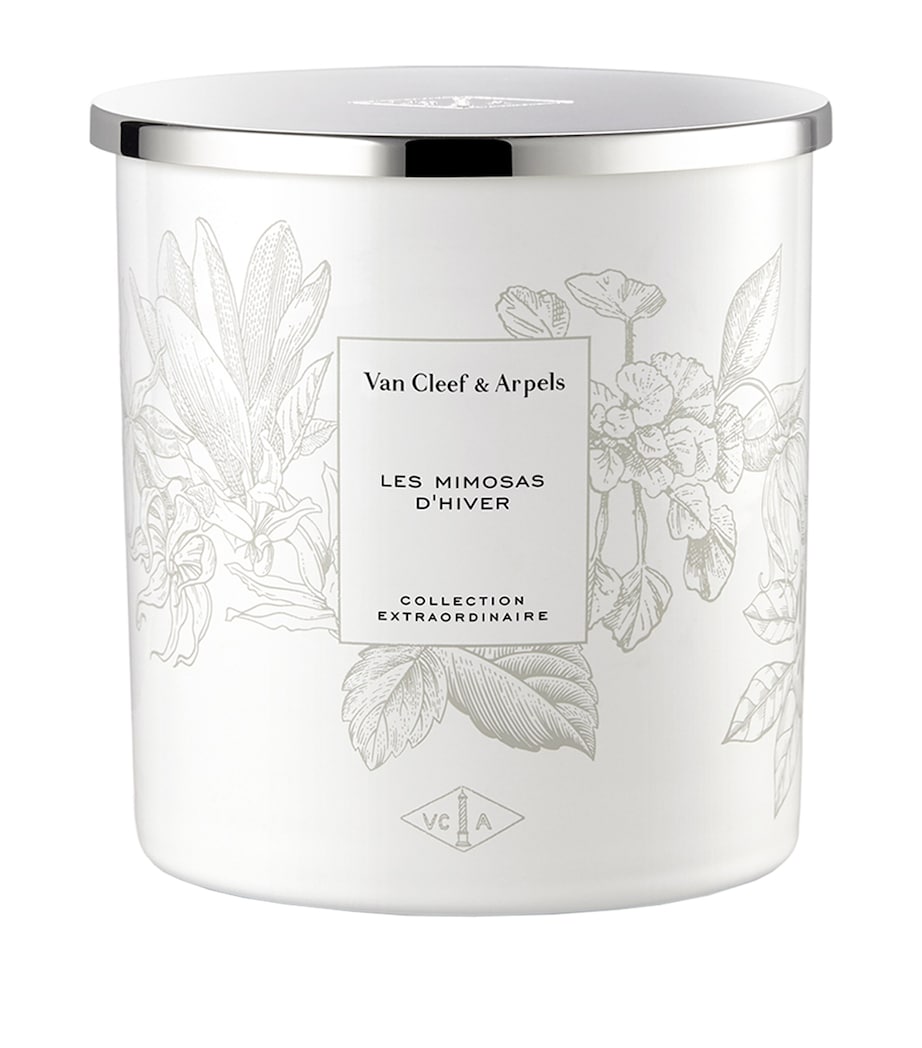 Collection Extraordinaire Les Mimosas D'Hiver Candle (240g) NO COLOUR Image 1