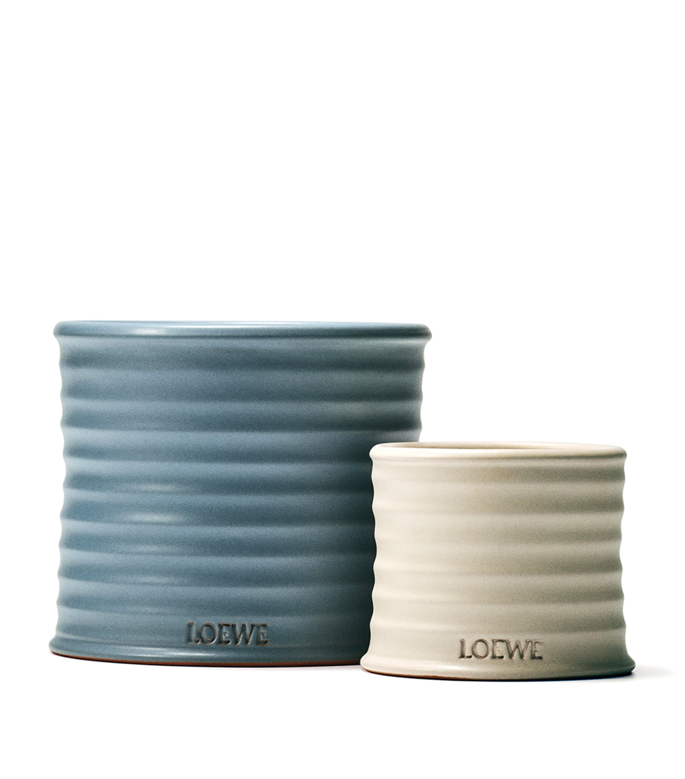 Medium Oregano Scented Candle NO COLOUR Image 4