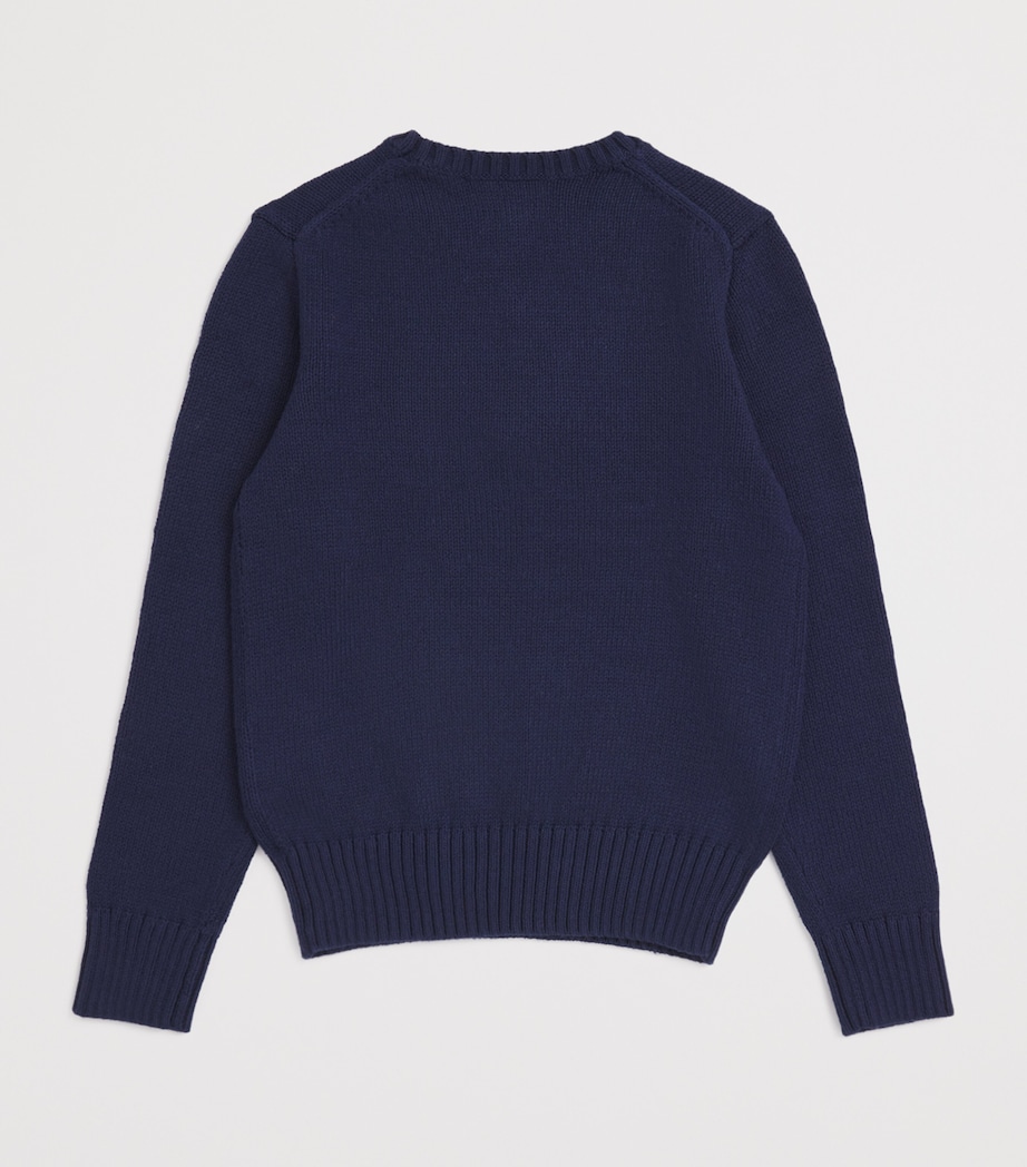 Polo Bear Sweater (2-6 Years) NAVY Image 2