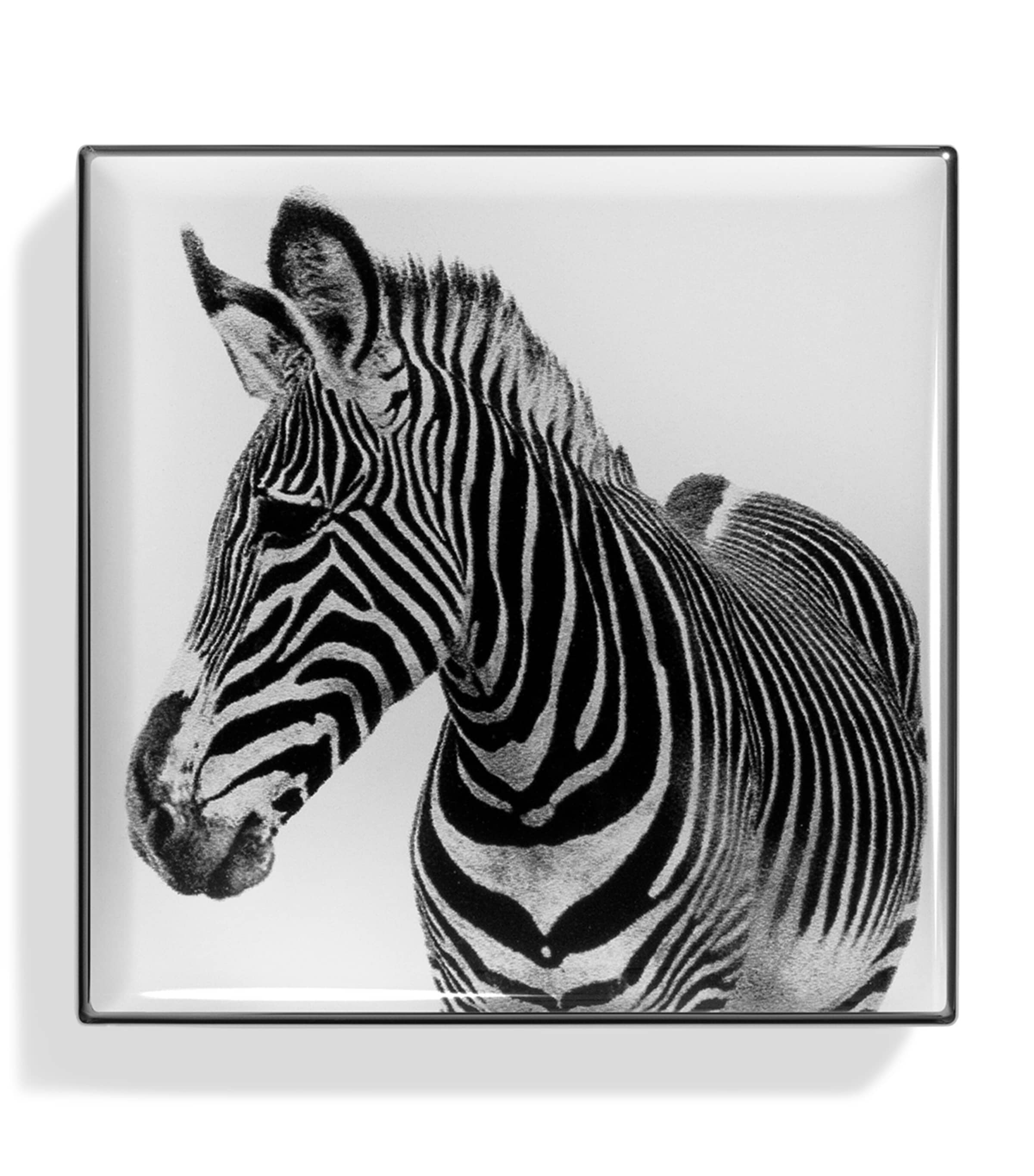 Luminescent Eye Shade ZEBRA Image 2