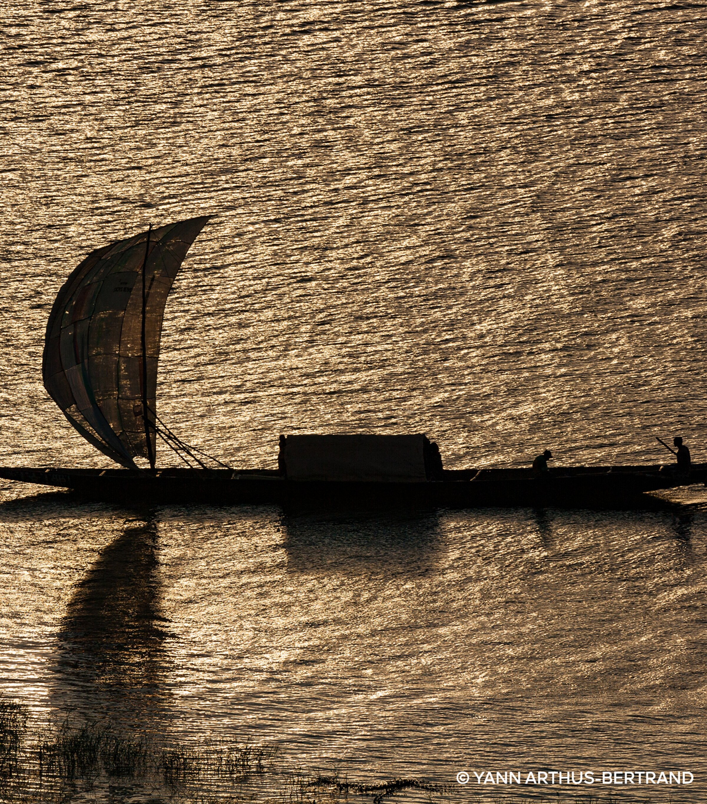 Absolus Allegoria Rose Amira Hair Mist (40ml) NO COLOUR Image 5