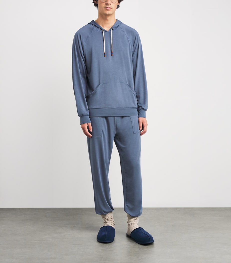 Harry Hoodie BLUE Image 2