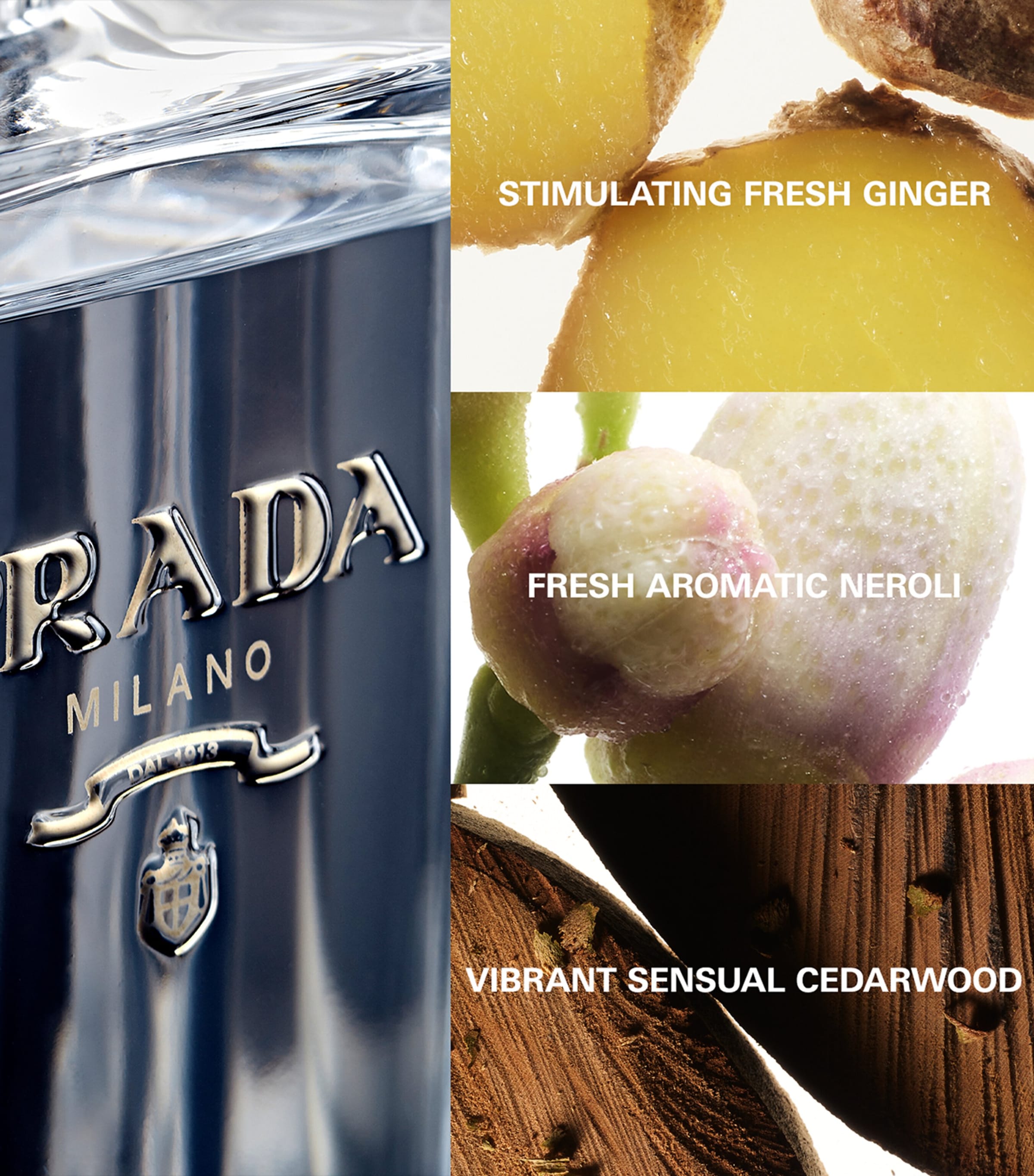 L'Homme Eau de Toilette (50ml) NO COLOUR Image 3