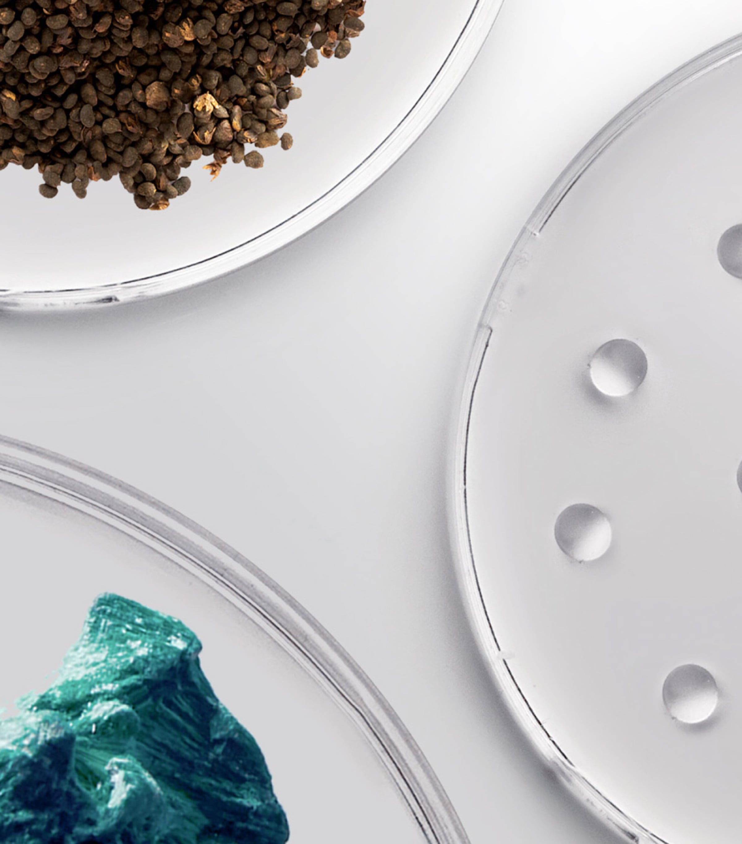 The Brilliant Prime Radiance Serum (30 x 0.5ml) NO COLOUR Image 3