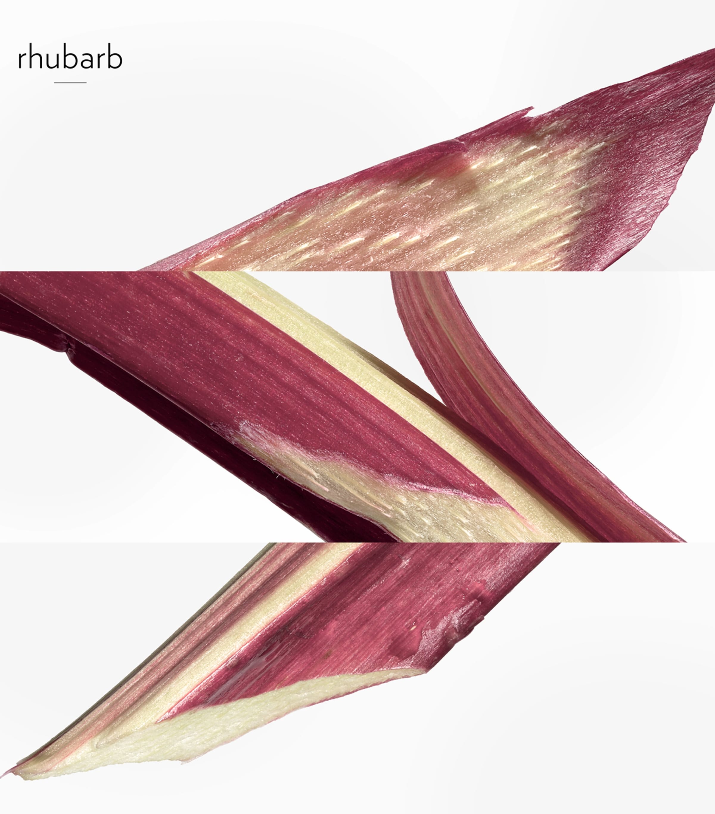 Eau De Rhubarbe Ecarlate Eau de Cologne Refill Spray (100ml) NO COLOUR Image 3