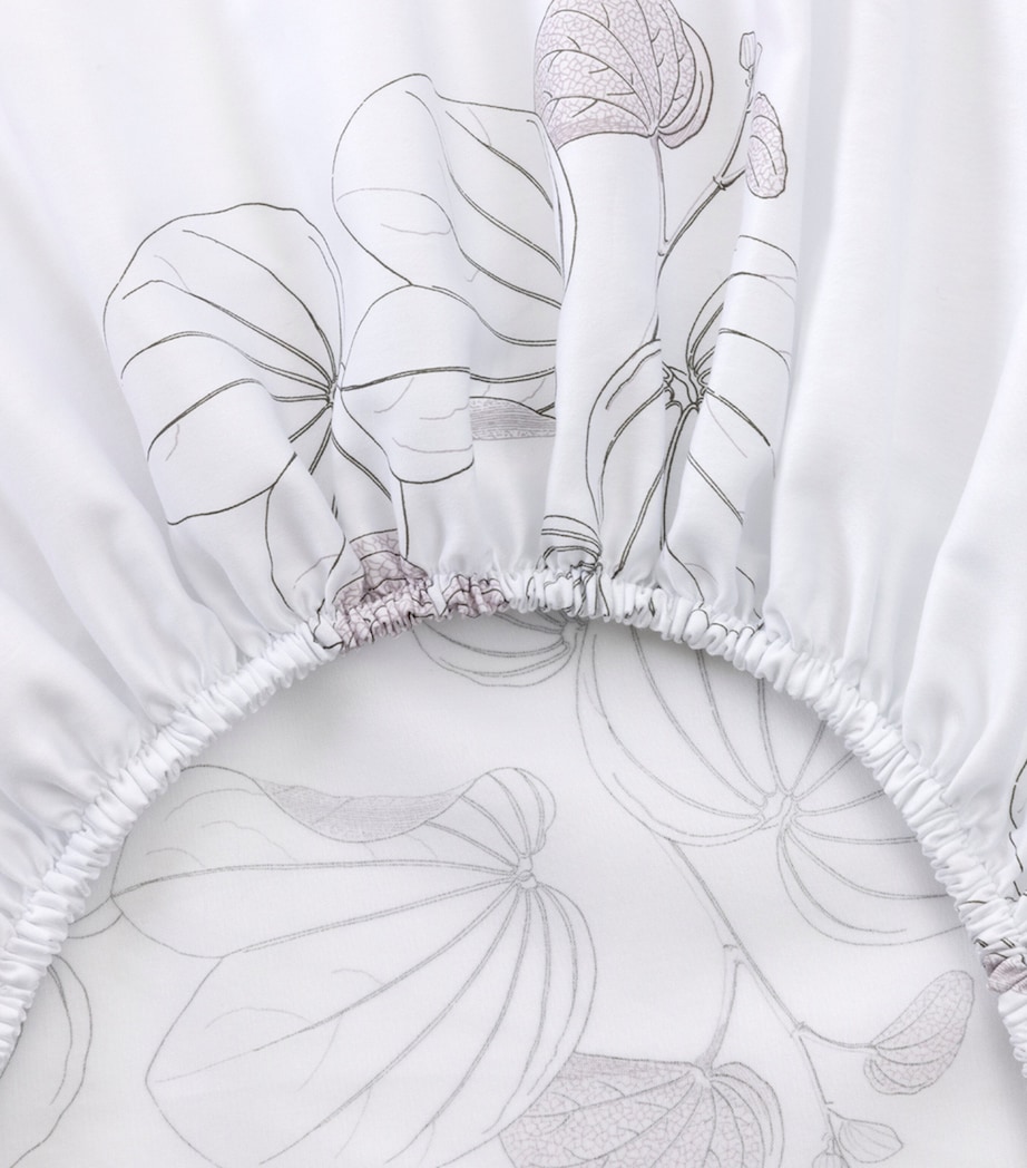 Floral Orchidee Super King Fitted Sheet (180cm x 200cm) MULTICOLOURED Image 3