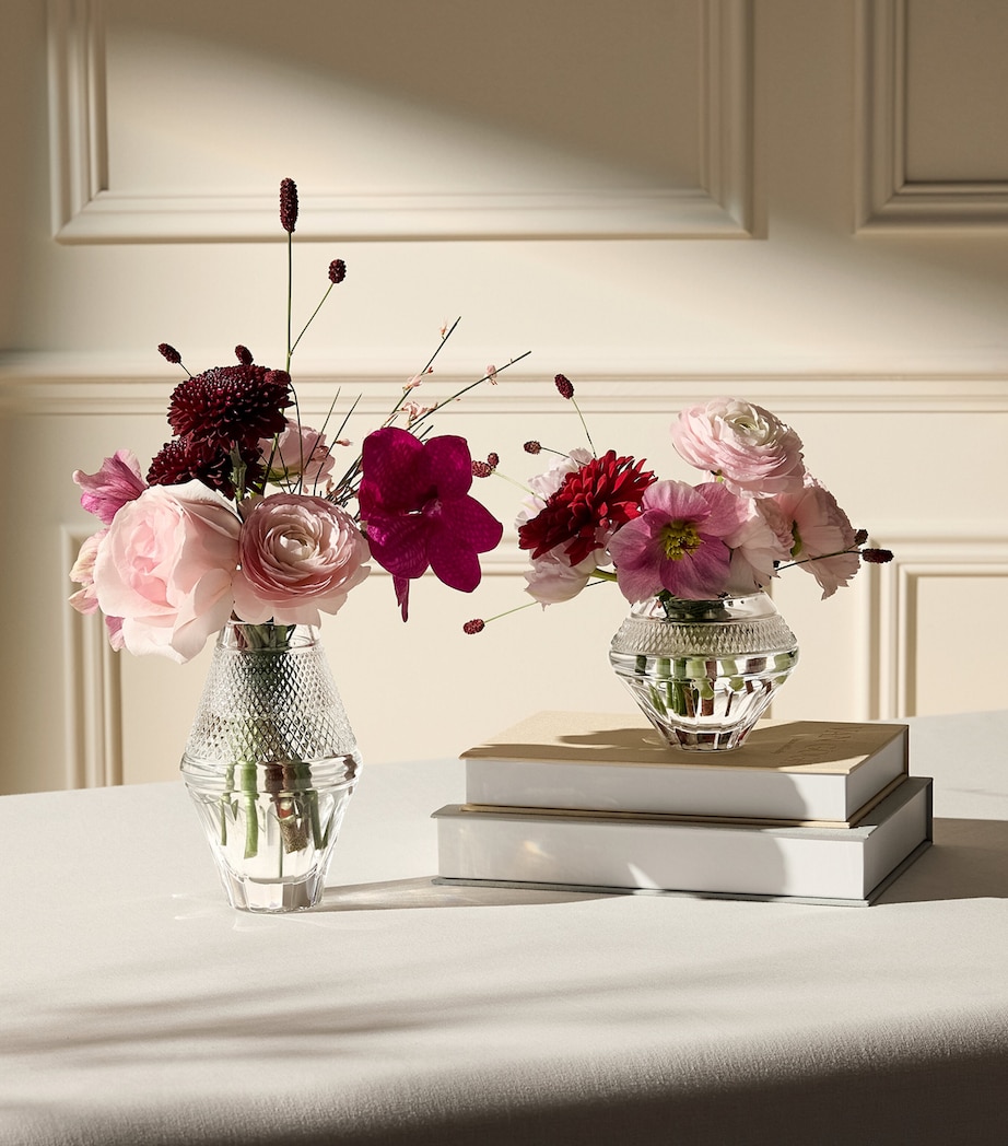 Waterford ROSE BOWL Clear Image 2